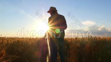 日落时分，一位身穿格子衬衫、手里拿着平板电脑的女农场主正走在一片麦田里，查看着